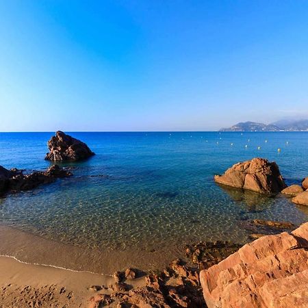 A 10 Min De La Croisette - Pieds Dans La Mer Κάννες Εξωτερικό φωτογραφία