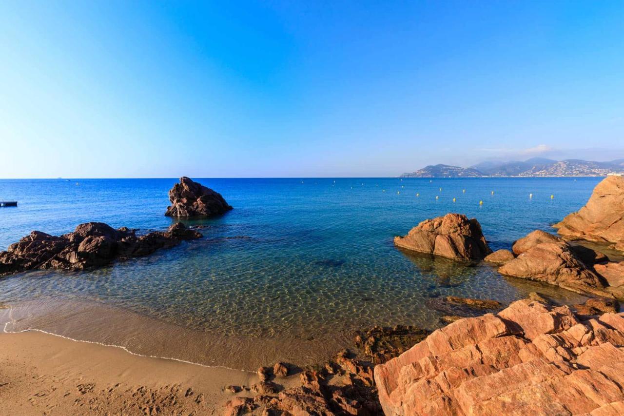 A 10 Min De La Croisette - Pieds Dans La Mer Κάννες Εξωτερικό φωτογραφία
